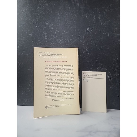 The Response To Industrialism 1885-1914 - Samuel P Hays 1960 Vintage Paperback - Picture 9 of 10